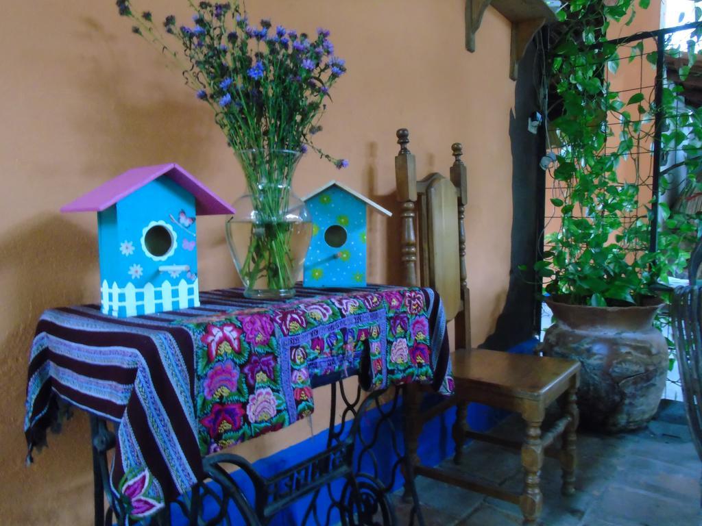 Hostal Casa Vieja Чикимула Экстерьер фото